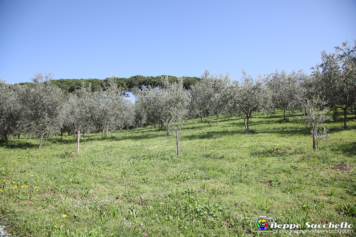 VBS_7141 - PressTour educational dedicato ai vini del Pinerolese e all’olio prodotto sulla collina di Pinerolo.jpg